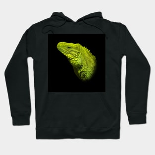 Iguana Hoodie